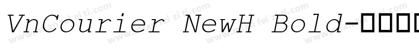VnCourier NewH Bold字体转换